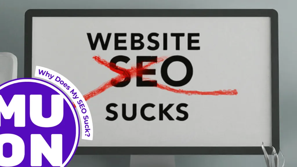 computer screen with website SEO sucks on it