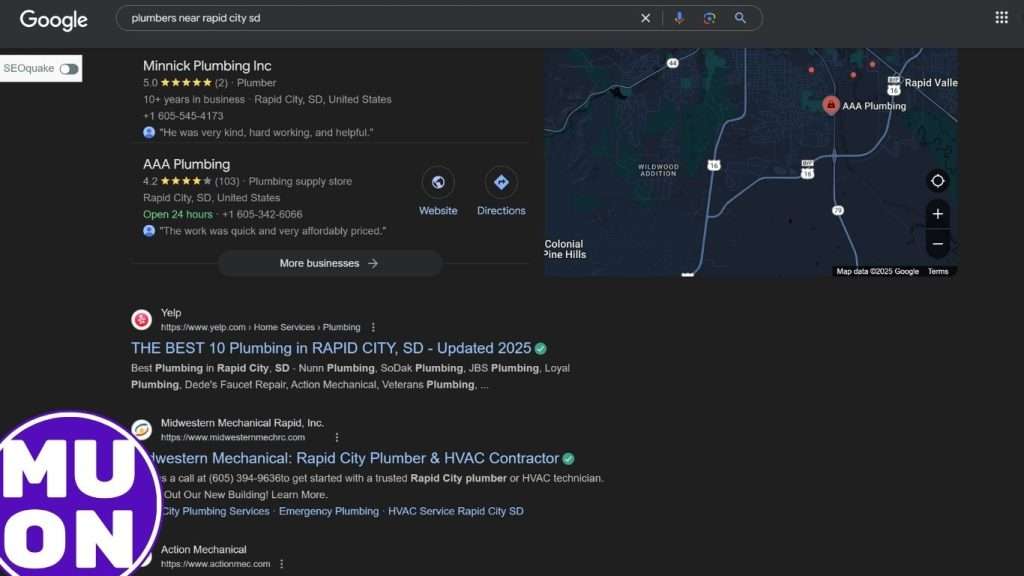 first page of google for plumbers near rapid city sd
