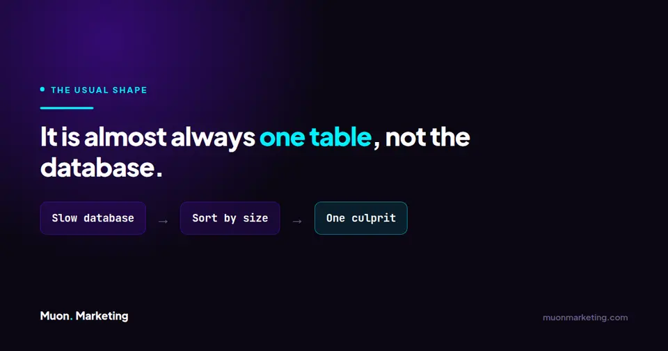 One database table is normally responsible for WordPress slowness rather than the database as a whole