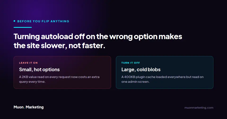 Comparison showing small frequently-read options should stay autoloaded, while large rarely-read option values are the ones worth turning off