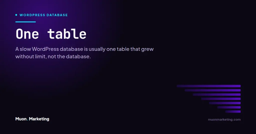One table. A slow WordPress database is usually one table that grew without limit, not the database.